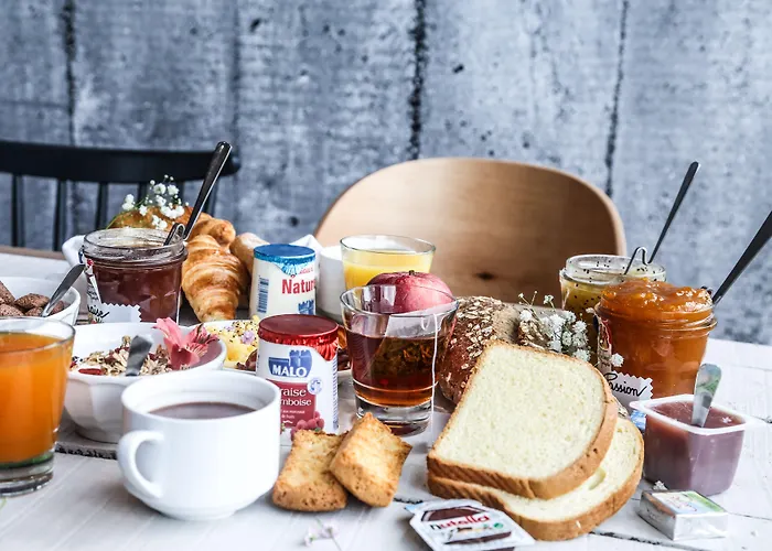 מלון Centre Canal Du Midi 3*